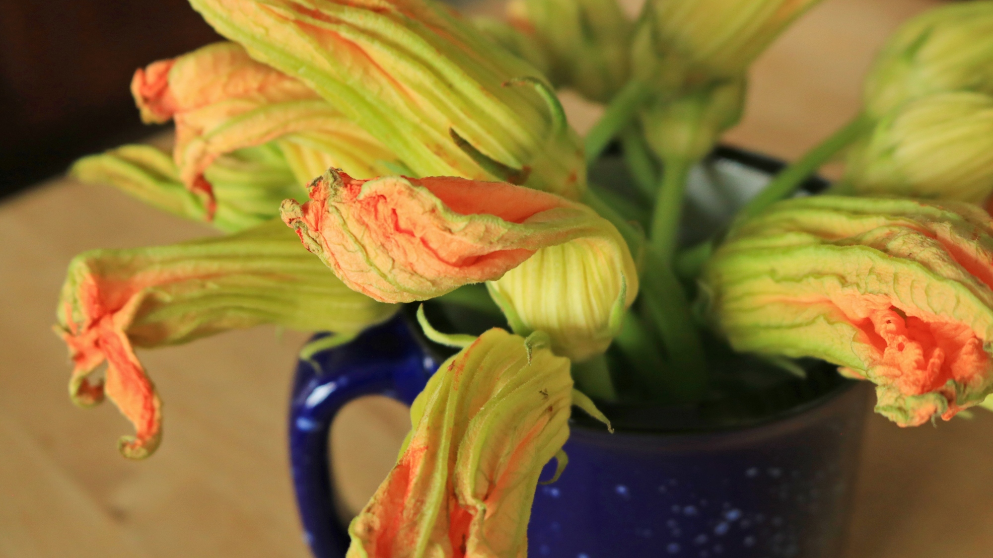 A cup of squash blossoms.