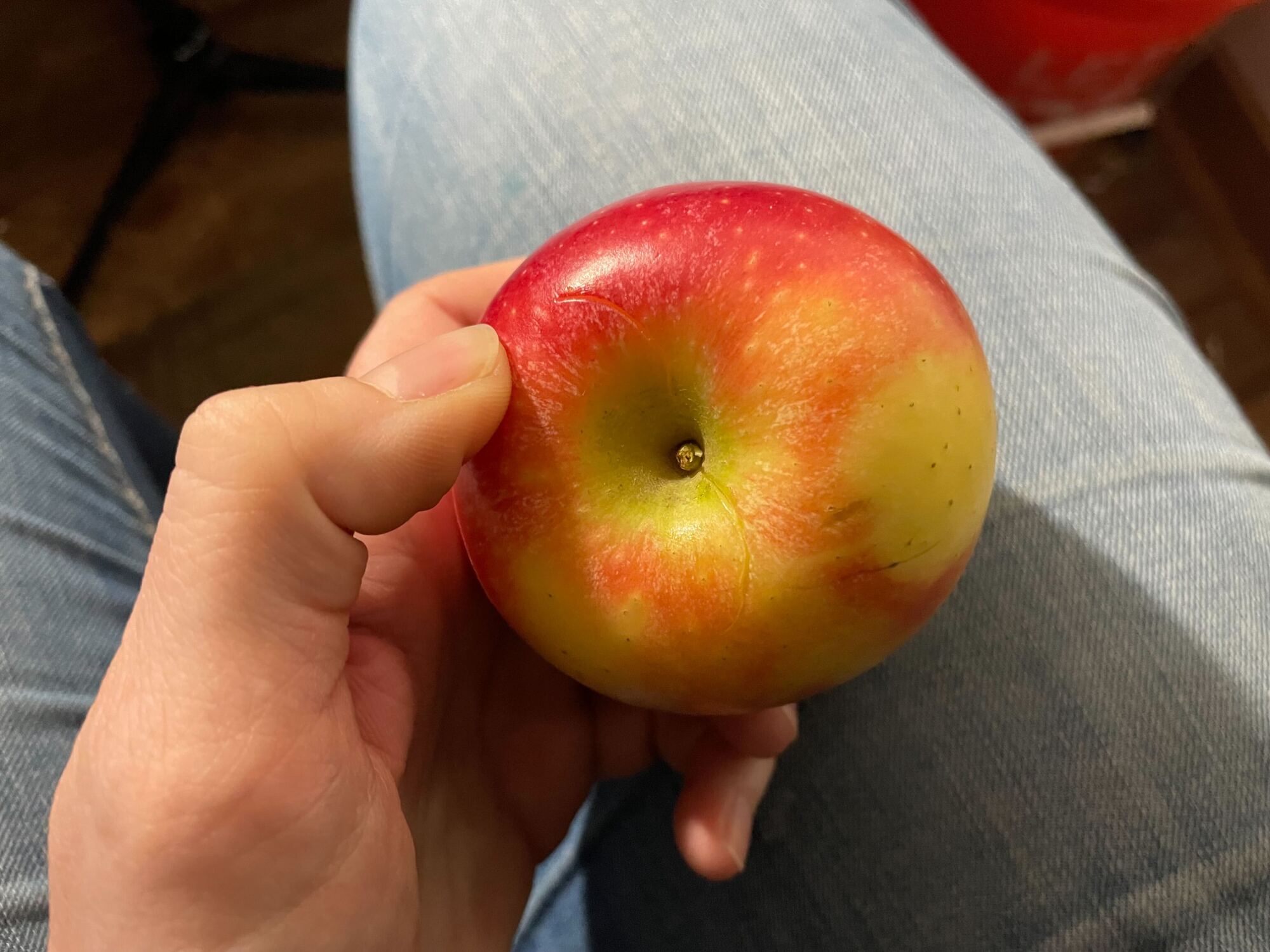 Apple with fingernail gouges